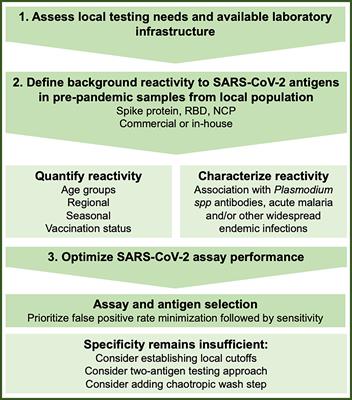 Assessing and Minimizing the Effect of Malaria on SARS-CoV-2 Serodiagnostics